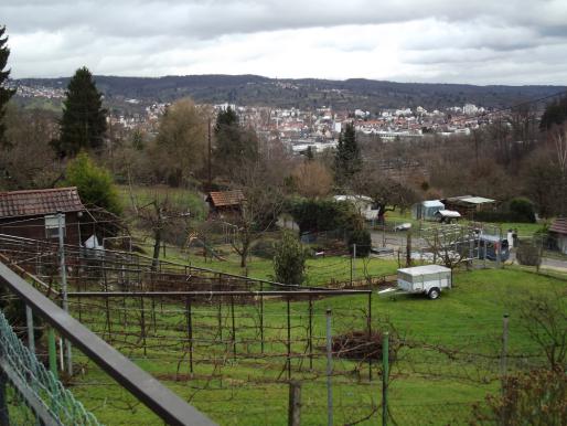 Blick von der Terrase ins Neckartal